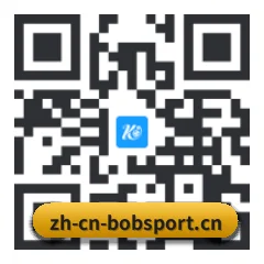 iOS 苹果生态原生版 二维码